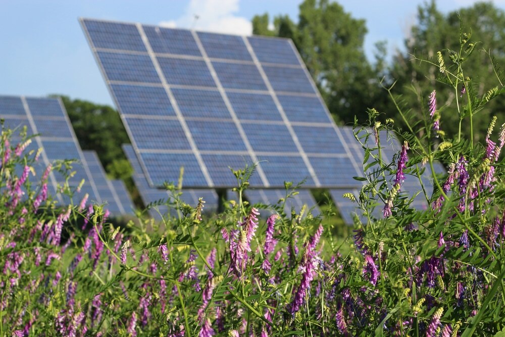 Quale Fotovoltaico per la transizione energetica