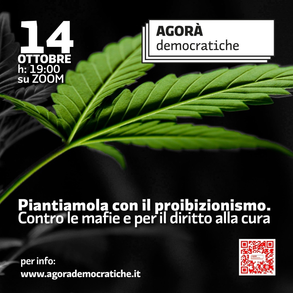"Piantiamola con il proibizionismo. Contro le mafie e per il diritto alla cura." 3. Consumo